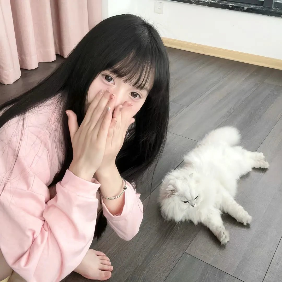 天堂镇警局第一季